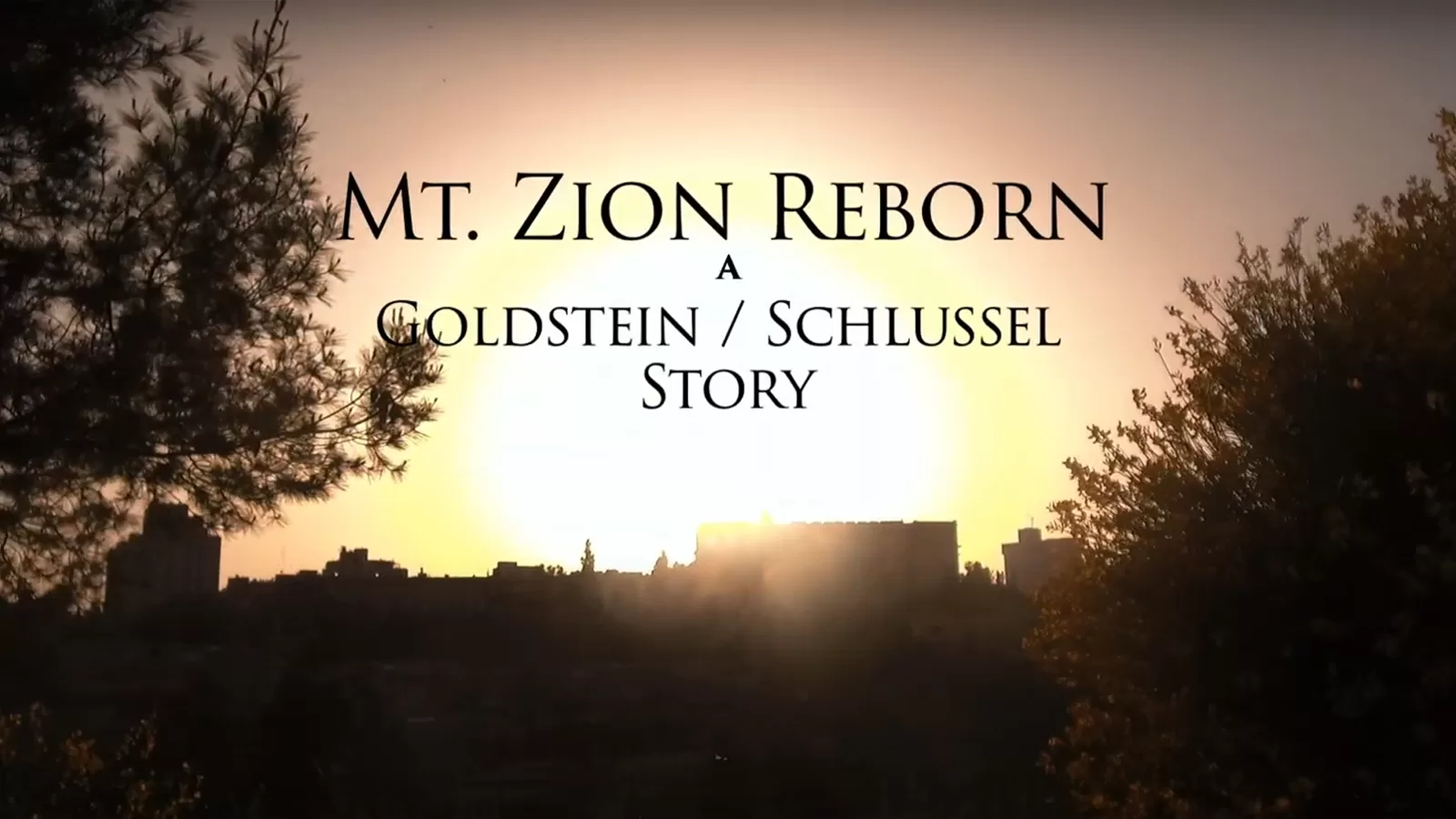 Mount Zion Reborn Cover