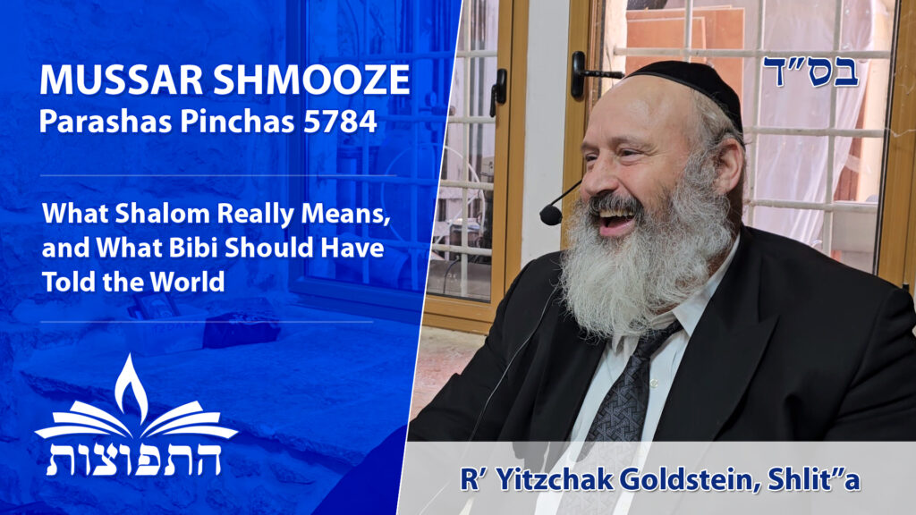 What Shalom Really Means, and What Bibi Should Have Told the World - Rabbi Yitzchak Goldstein, Shlit"a - Mussar Shmooze - Parashas Pinchas 5784