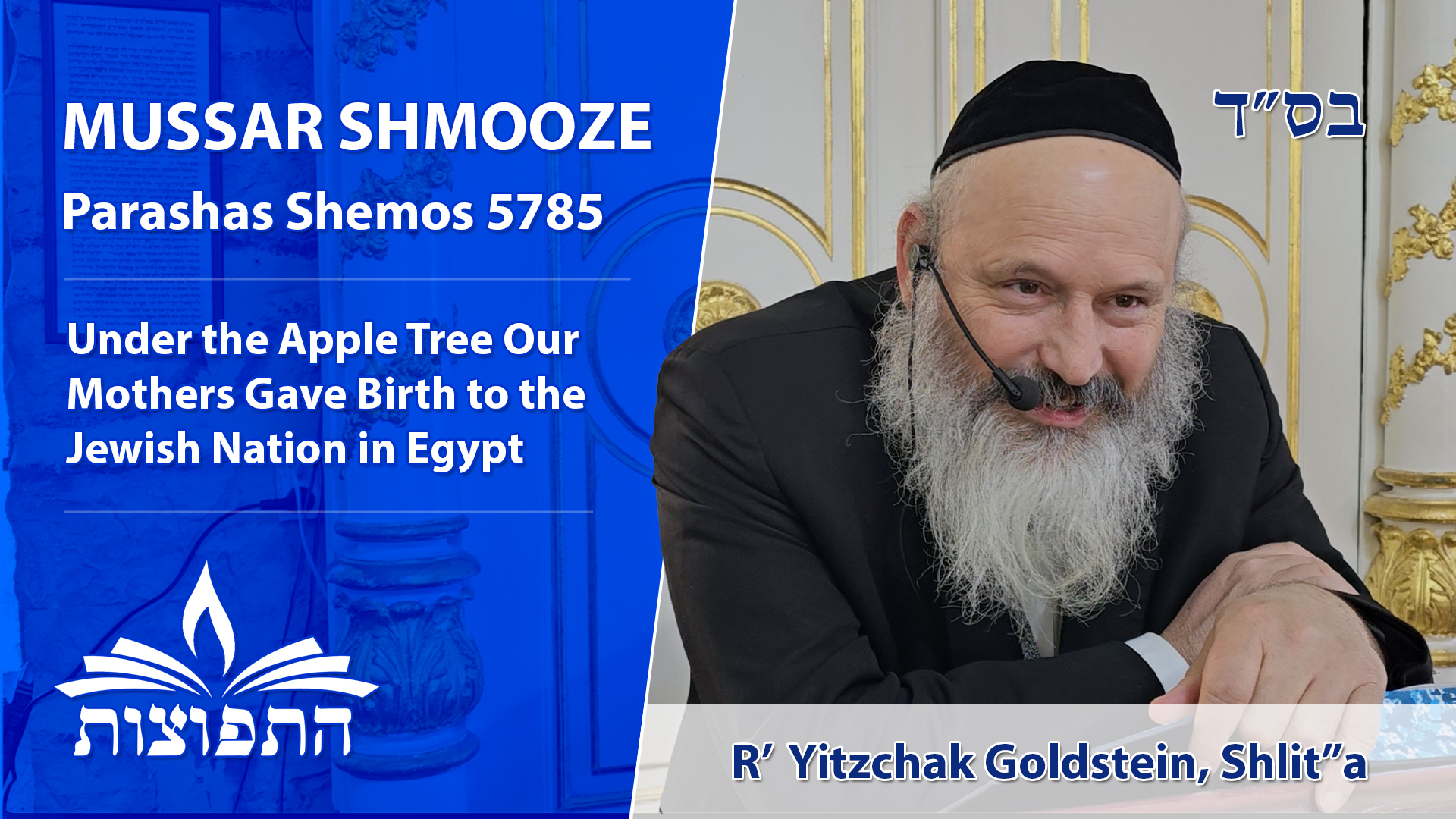 Under the Apple Tree Our Mothers Gave Birth to the Jewish Nation in Egypt | Rabbi Yitzchak Goldstein